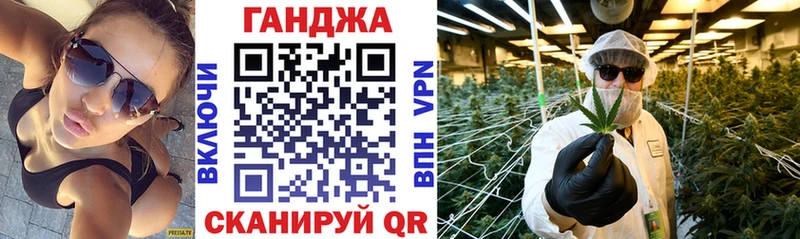 Бошки Шишки планчик закладки Тайшет